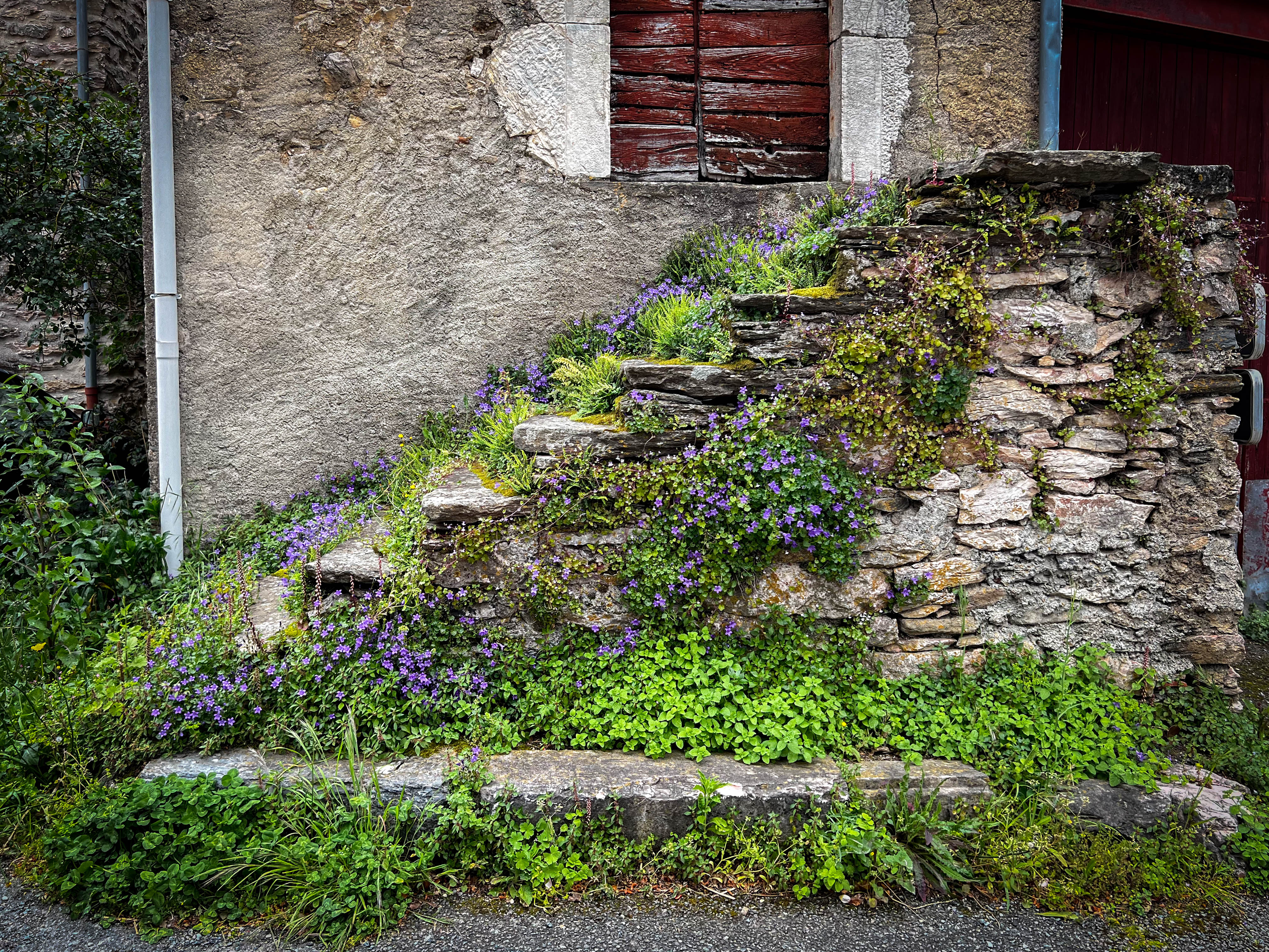 Stone stairway with purple flowers in Ardouane